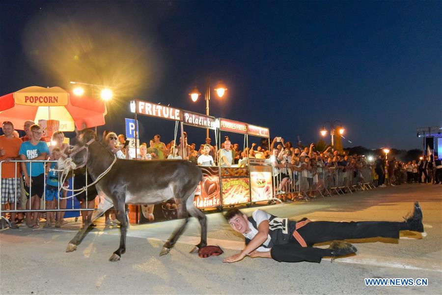 CROATIA-TRIBUNJ-DONKEY RACE