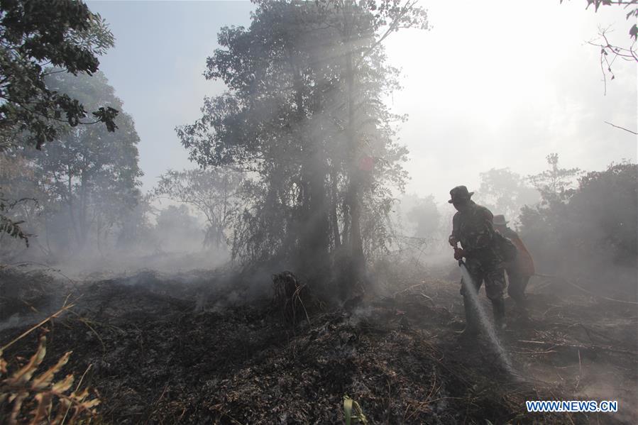 INDONESIA-RIAU-PEATLAND FIRE