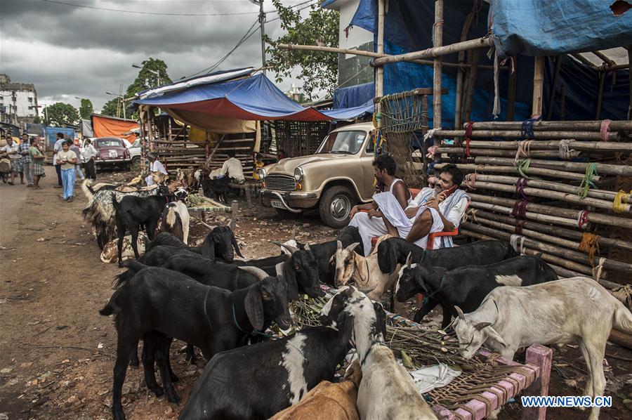 INDIA-KOLKATA-EID AL-ADHA-LIVESTOCK MARKET