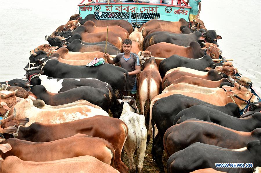 BANGLADESH-DHAKA-EID AL-ADHA-LIVESTOCK MARKET