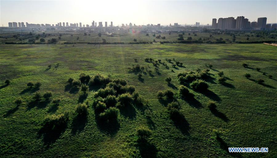 CHINA-SHAANXI-WETLAND SCENERY (CN)