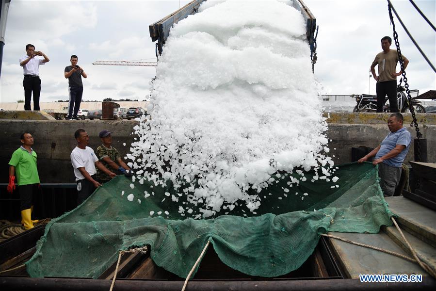 CHINA-SHANDONG-RIZHAO-FISHING SEASON (CN)