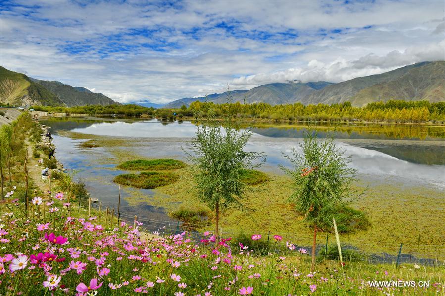 CHINA-LHASA-GOLDEN POND-SCENERY (CN)