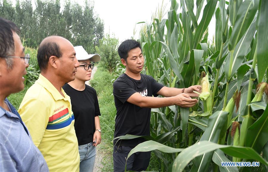 CHINA-SHANDONG-DEZHOU-AGRI-TECH PIONEERS (CN)