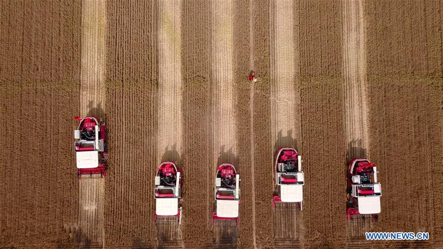 CHINA-FARMERS' HARVEST FESTIVAL (CN)