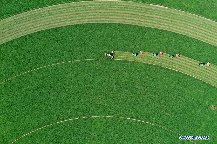 CHINA-FARMERS' HARVEST FESTIVAL (CN)