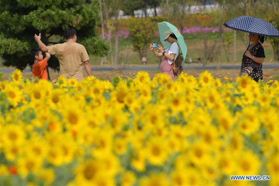 CHINA-JIANGXI-NANCHANG-AGRICULTURE-TOURISM (CN)