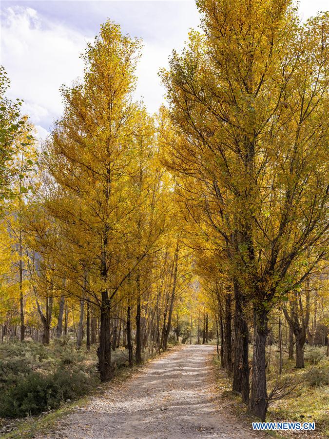 CHINA-TIBET-LHASA-AUTUMN SCENERY (CN)