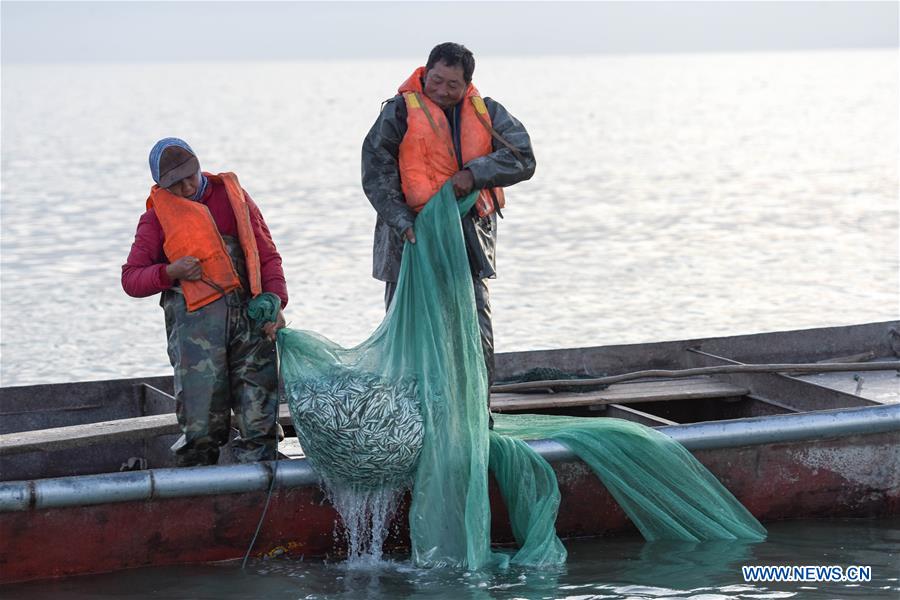 CHINA-XINJIANG-BOSTEN LAKE-FISHERY-POND SMELT (CN)