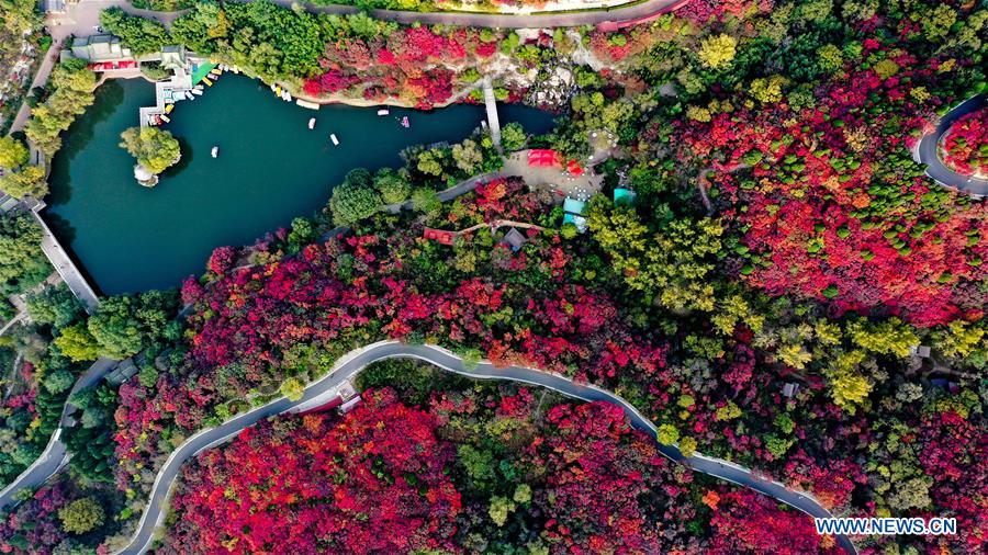 CHINA-SHANDONG-JINAN-AUTUMN SCENERY (CN)