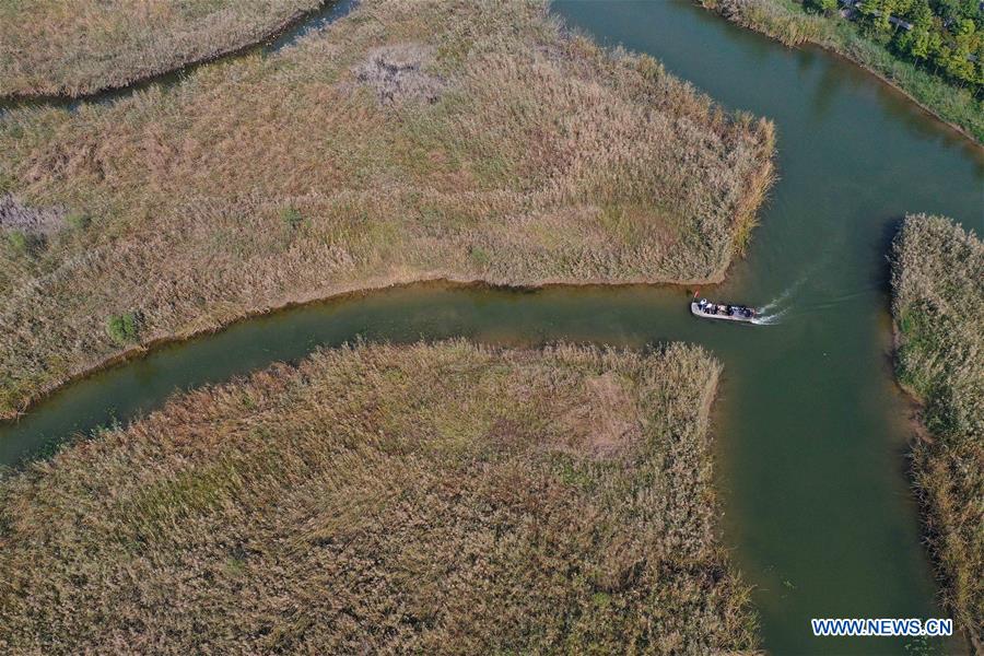 CHINA-JIANGSU-SUINING-WETLAND (CN)