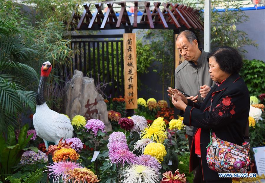 CHINA-BEIJING-CHRYSANTHEMUM-EXHIBITION (CN)