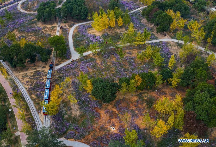 CHINA-ZHEJIANG-CHANGXING-SCENERY (CN)