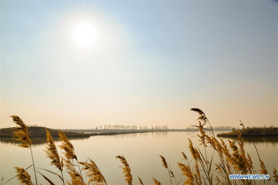 CHINA-INNER MONGOLIA-TOGTOH-YELLOW RIVER-SCENERY (CN)