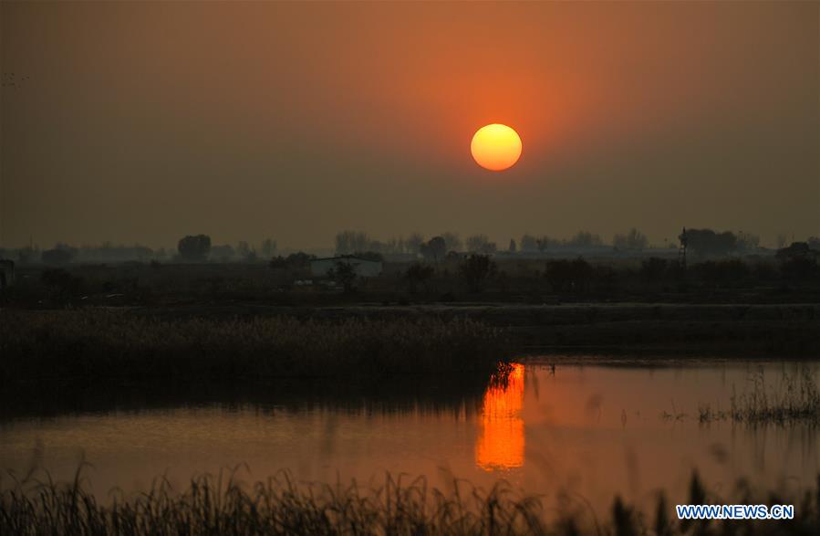 CHINA-INNER MONGOLIA-HOHHOT-HASUHAI WETLAND-AUTUMN SCENERY (CN)