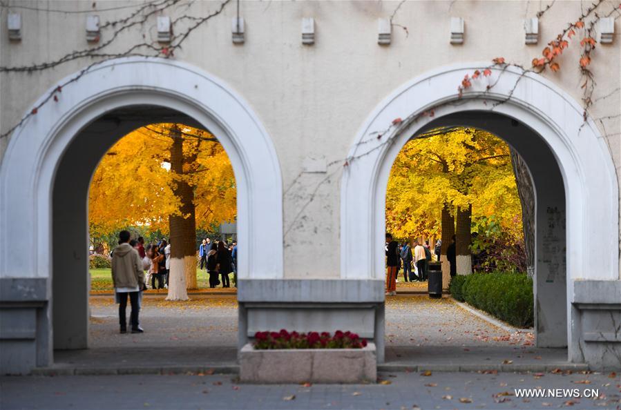 CHINA-BEIJING-UNIVERSITY OF SCIENCE AND TECHNOLOGY BEIJING-AUTUMN SCENERY (CN)