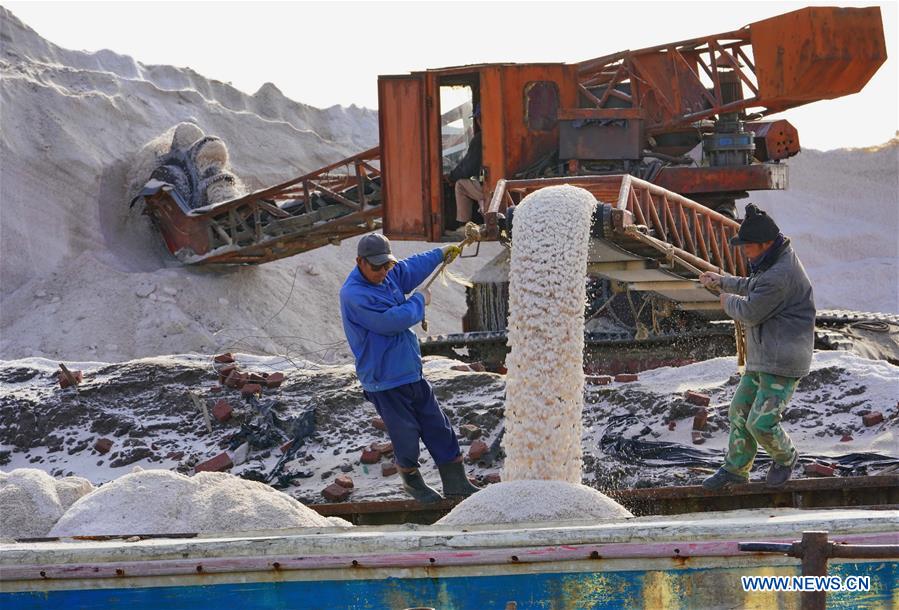 CHINA-HEBEI-CAOFEIDIAN-SALT PAN-AUTUMN-HARVEST (CN)