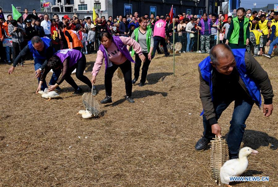 CHINA-FUJIAN-HARVEST-CELEBRATION (CN)