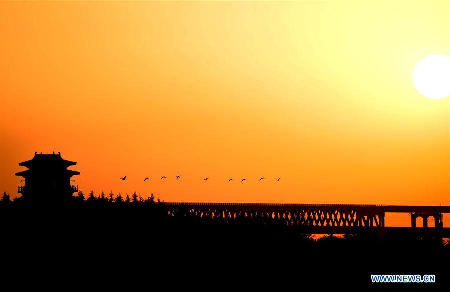 CHINA-HENAN-SANMENXIA-WHITE SWANS (CN)