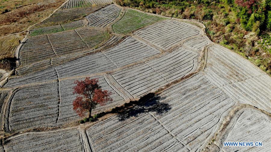 CHINA-ANHUI-WINTER-SCENERY (CN)