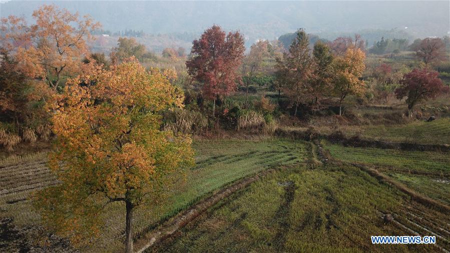 CHINA-ANHUI-SCENERY-AERIAL VIEW (CN)