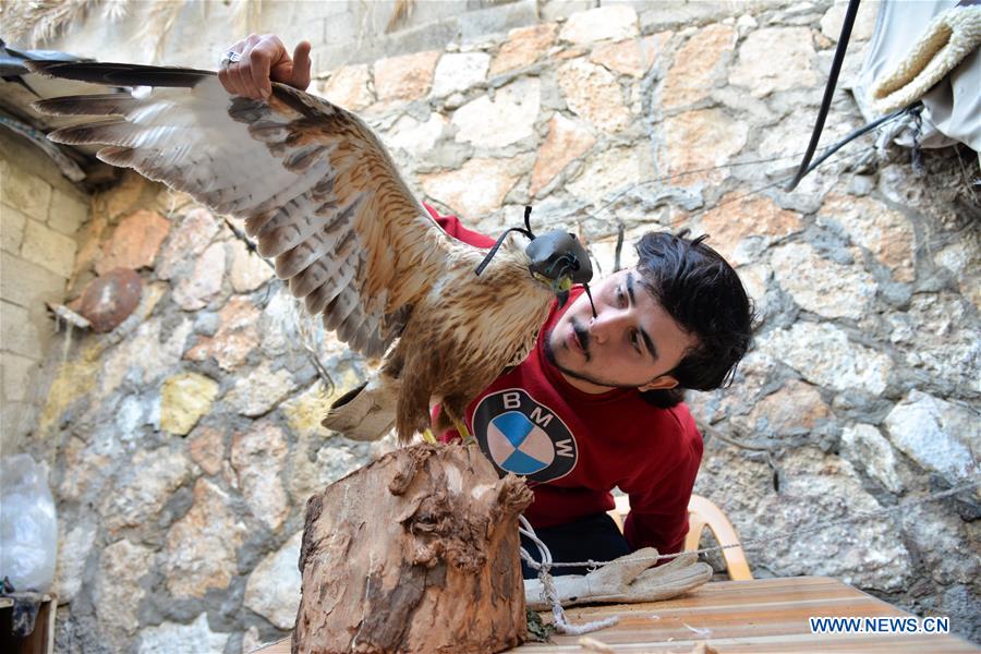 MIDEAST-GAZA-HOBBY-SNAKE AND FALCON