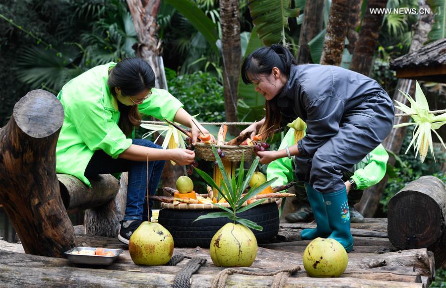 CHINA-HAINAN-HAIKOU-GIANT PANDA (CN)