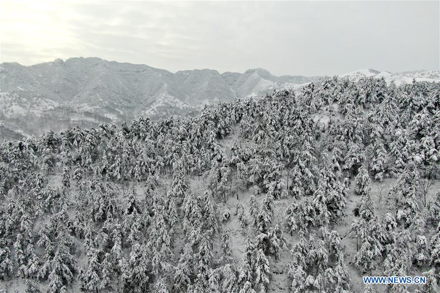 CHINA-HENAN-SANMENXIA-WINTER SCENERY (CN)