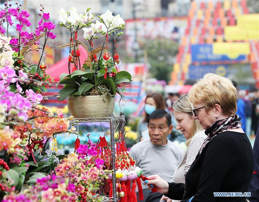 CHINA-HONG KONG-SPRING FESTIVAL-FLOWER (CN)