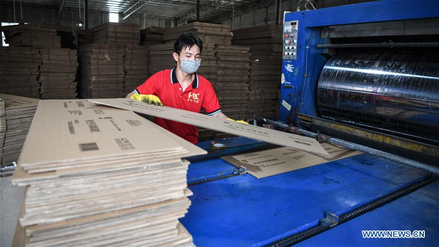 CHINA-GUANGXI-QINZHOU-PRODUCTION-RESUMPTION (CN)