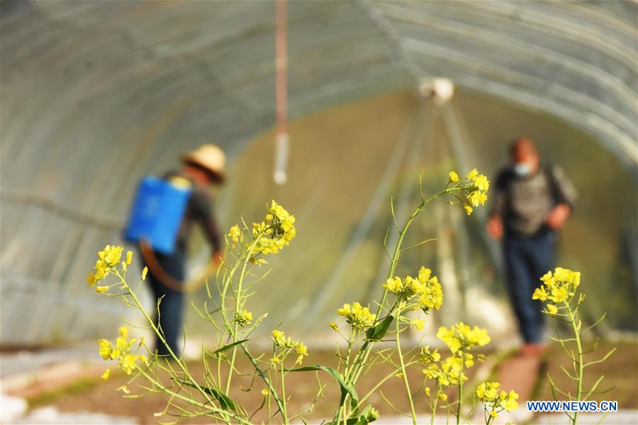 #CHINA-SPRING-FARMING (CN)