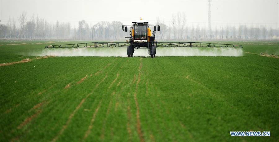 CHINA-HEBEI-BOTOU-SPRING FARMING (CN)