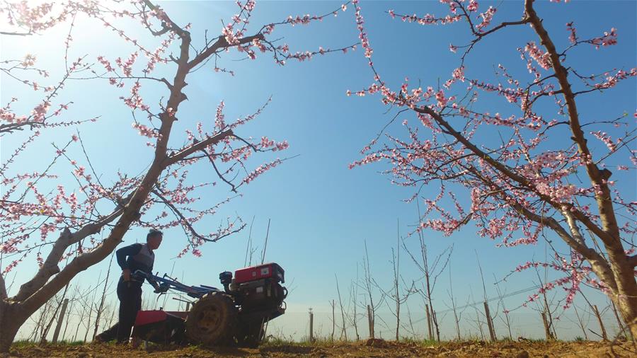 #CHINA-SPRING-FARMING (CN)