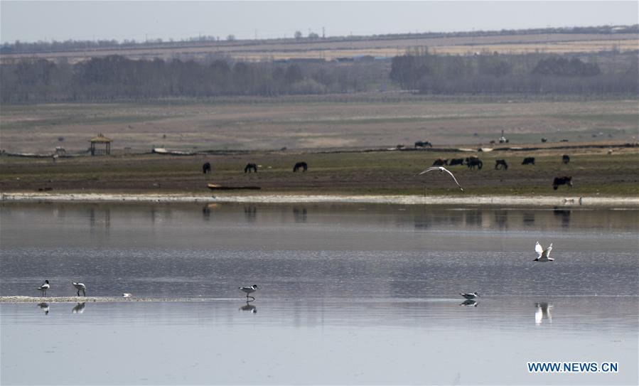 CHINA-XINJIANG-BARKOL LAKE-SCENERY (CN)