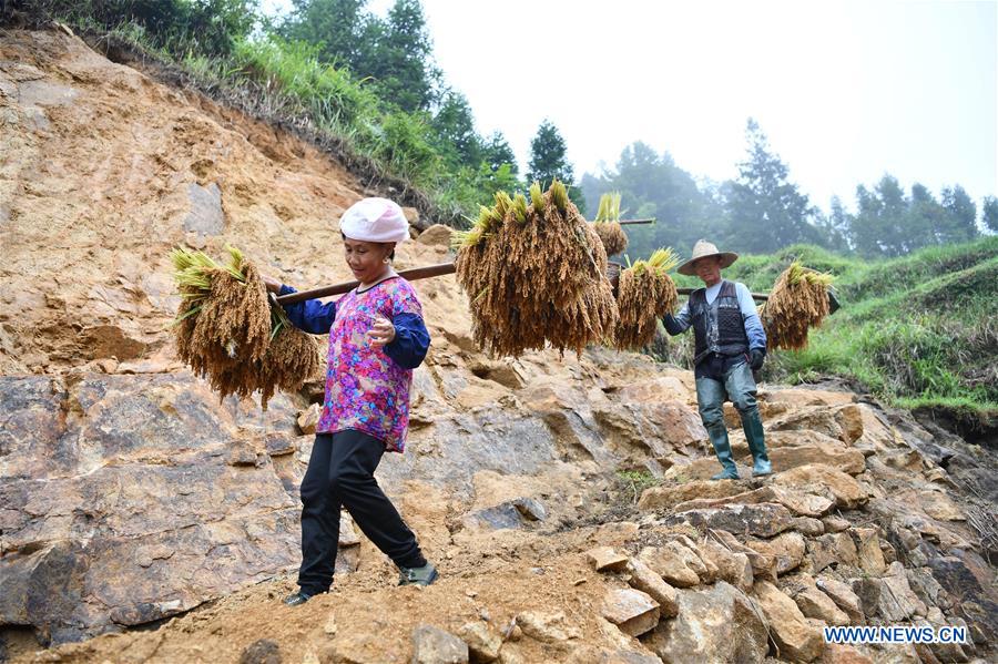 CHINA-GUANGXI-RONGSHUI-RURAL LIFE (CN)