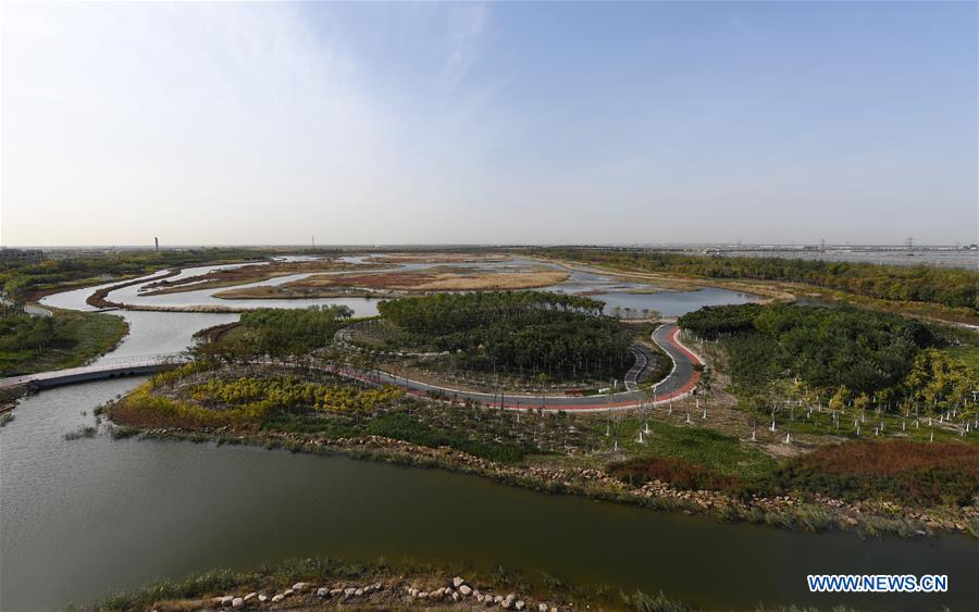 CHINA-TIANJIN-WETLAND-ENVIRONMENT (CN)