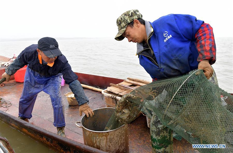 CHINA-JIANGXI-NANCHANG-FISHERY-CRAB (CN)