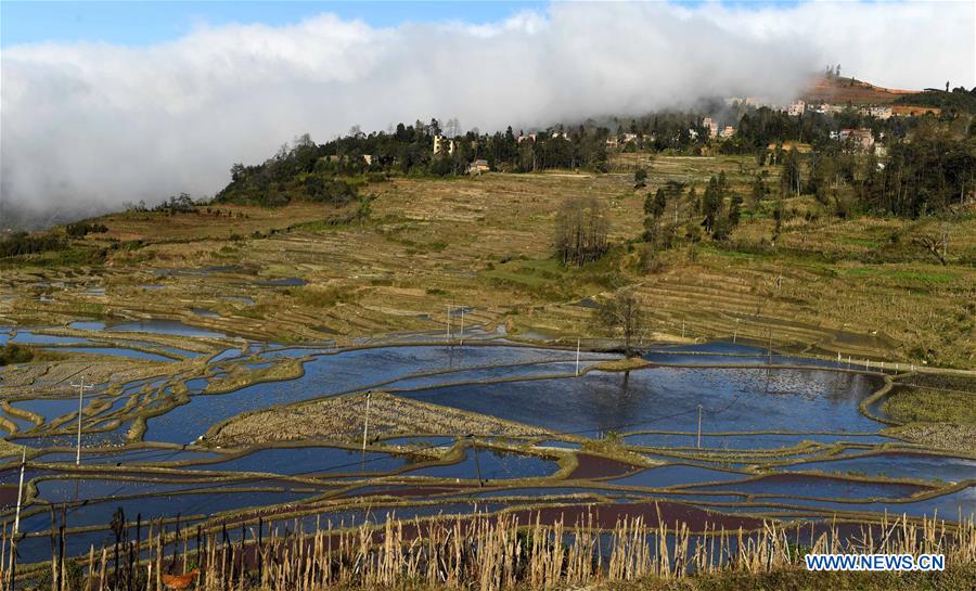 CHINA-YUNNAN-HANI TERRACED FIELDS-VIEWS (CN)