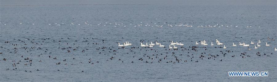 CHINA-SHANXI-XIAOYI-XIAOHE NATIONAL WETLAND PARK (CN)