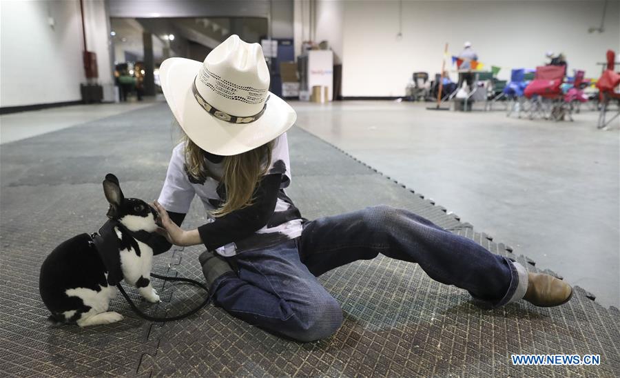 U.S.-HOUSTON-RABBIT-CAVY-COSTUME CONTEST