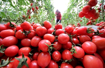 Spring farming across China