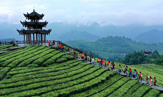 Tourists go sightseeing at tea garden in Enshi, central China's Hubei