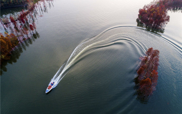 A Tiny Boat on the Water