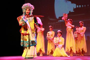 Chinese performance arts group performs in Namibia