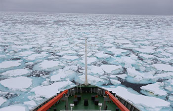 China's icebreaker Xuelong continues Antarctic expedition