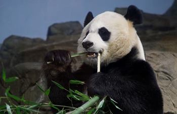 U.S. national zoo holds housewarming event inside giant panda house