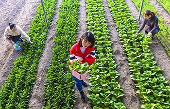 Ecological garden helps to develop rural tourism in Wuqiang, China's Hebei