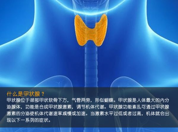 关注甲状腺健康，你应该知道的那些事