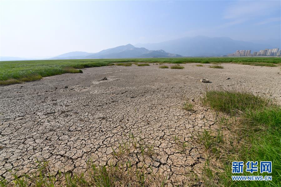 （图文互动）（2）鄱阳湖提前出现低枯水位