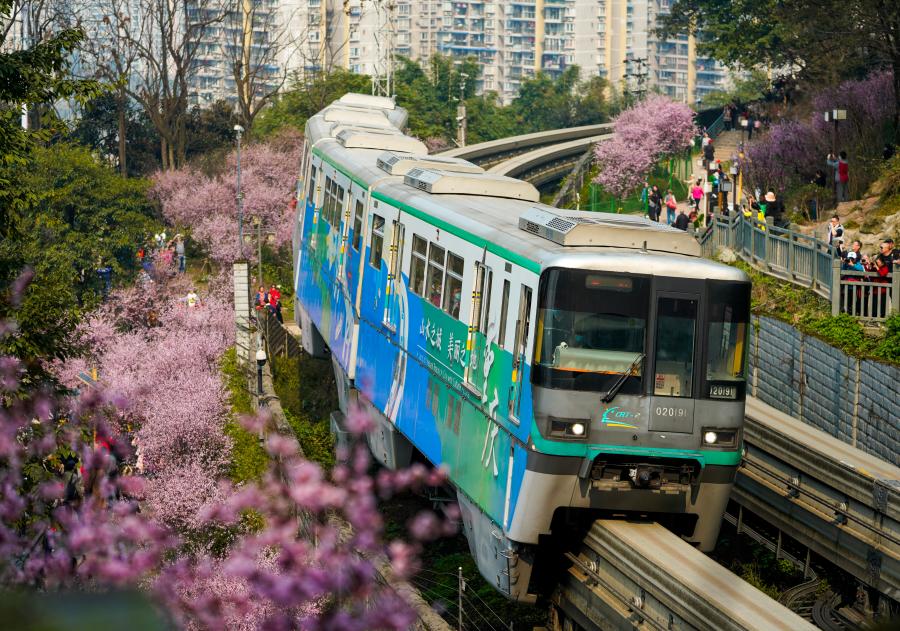 重庆：一路繁花相送 带你驶向春天